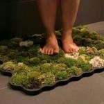 Mat made of moss stays alive with the help of bath water (Коврик, сделанный из мха не увядает благодаря воде для мытья)